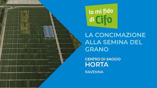 Io Mi Fido Di Cifo La Concimazione Alla Semina Del Grano