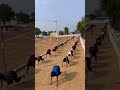 Girls workout 🔥😱 #indianarmy #army #1600mtrruning #youtubeshorts #trending #motivation