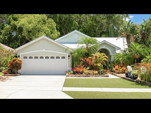 719 Wildflower Drive, Palm Harbor, FL home video tour