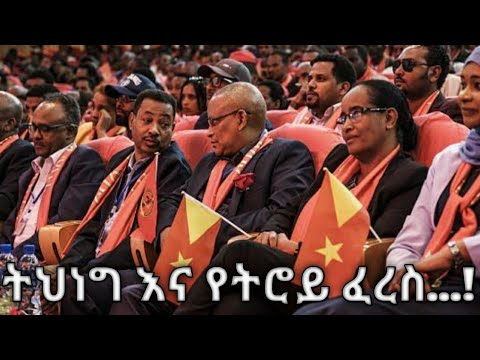 ቪዲዮ: ኤምቲዲ ኩብ ካዴት ገዝቷል?