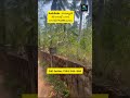 കോഴിക്കോട് ഓമശ്ശേരി 33 സെന്റ് പറമ്പ് - ഹൌസ് പ്ലോട്ട്  Kozhikode ഓമശ്ശേരി 33 Cent House plot