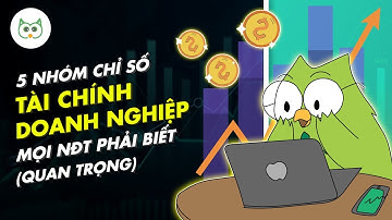 5 Nhóm Chỉ Số Tài Chính Doanh Nghiệp Nhà Đầu Tư Phải Biết (Quan Trọng) | Trong 1 Trang