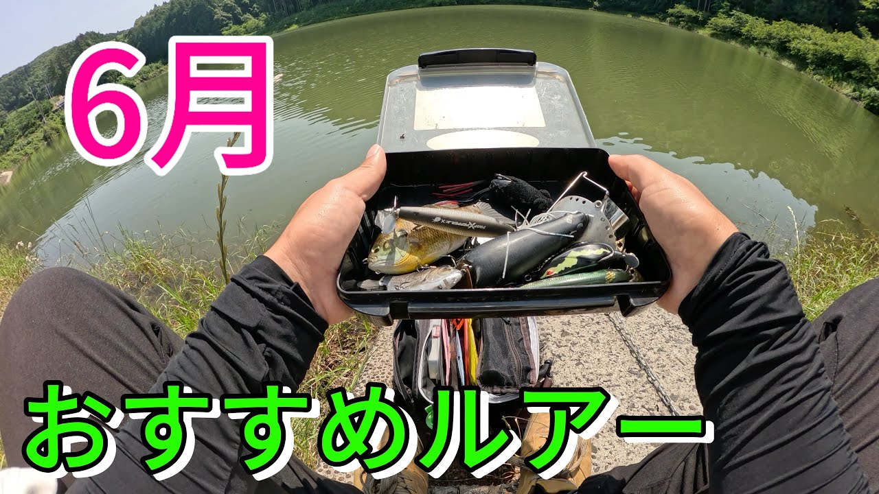 【バス釣り】6月で100％持ってたほうがいいおすすめのルアーを紹介します