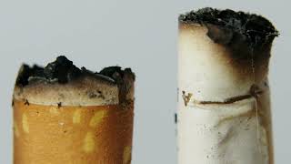 The Cigarette Butt Museum