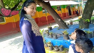 Day 17 Activity Session - 23 Theme Trees and plants