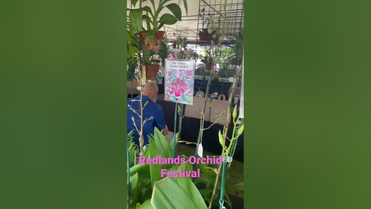 Redlands orchid Festival YouTube