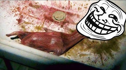 The Fastest Way to finish PT the last Puzzle!!