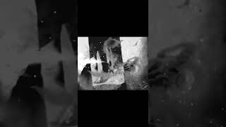 new LP by Through a Glass, Darkly #doomgaze #postrock #ambientmusic #newmusic
