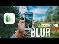 HOW TO BLUR BACKGROUND WITH SNAPSEED | Image like dslr | Snapseed tutorials
