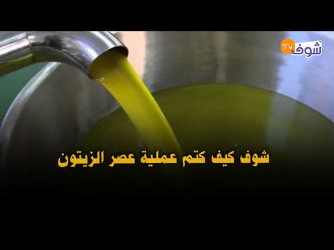 مباشرة من عين الله: شوف كيف كتم عملية عصر الزيتون واستخراج زيت الزيتون بالحجرة