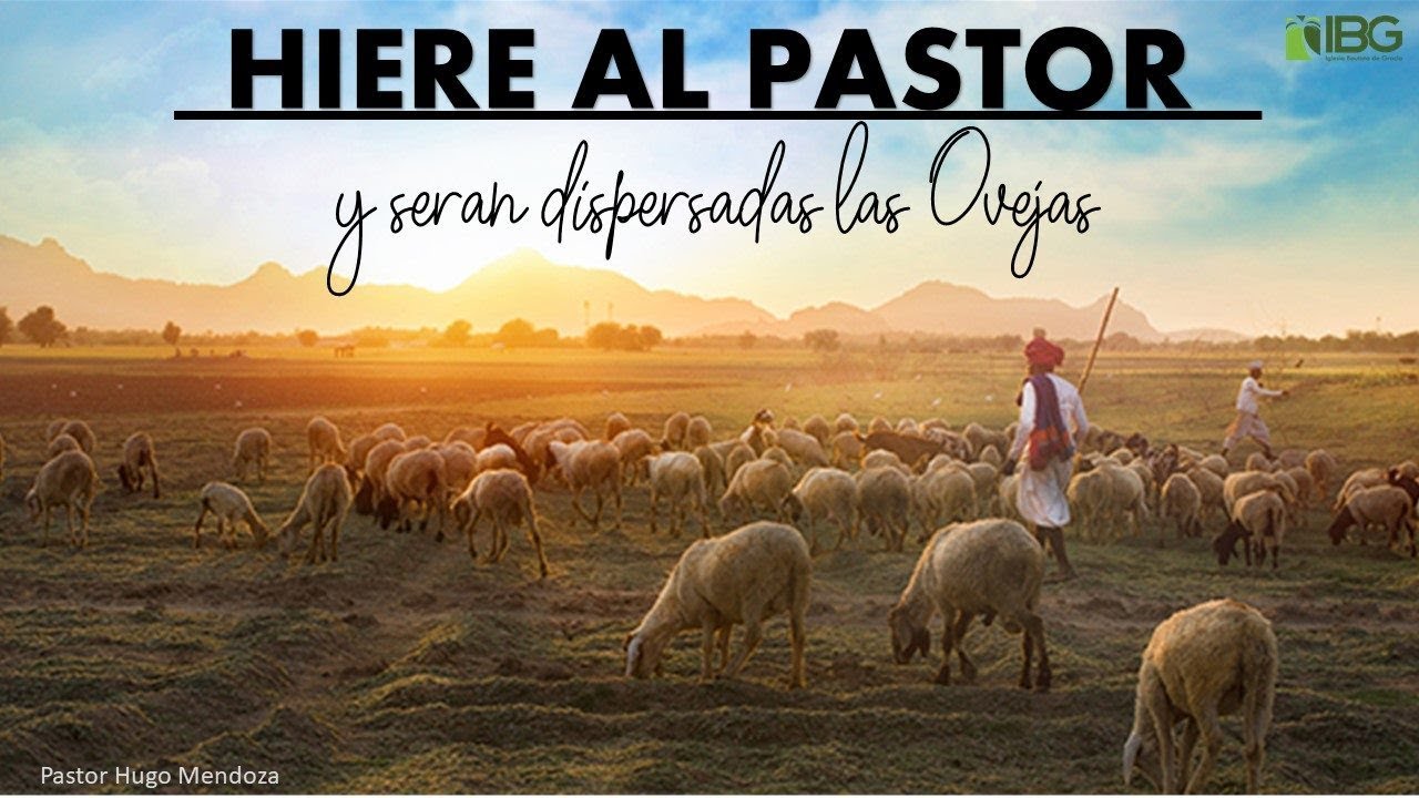 Heriré Al Pastor Y Las Ovejas Del Rebaño Serán Dispersadas