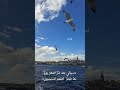 الله يعلم مانشكوا من الألم نشيد