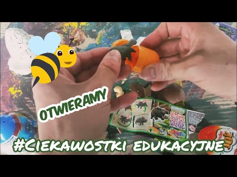 Otwórzmy razem Kinder
