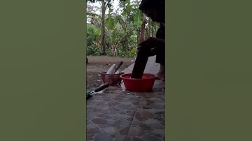 super sharp easy to use for peeling cassava #shorts