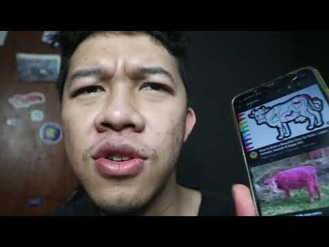 Cara Ketawa