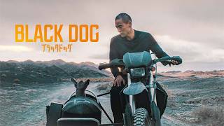 5.13(金)『ブラックドッグ』DVDリリース