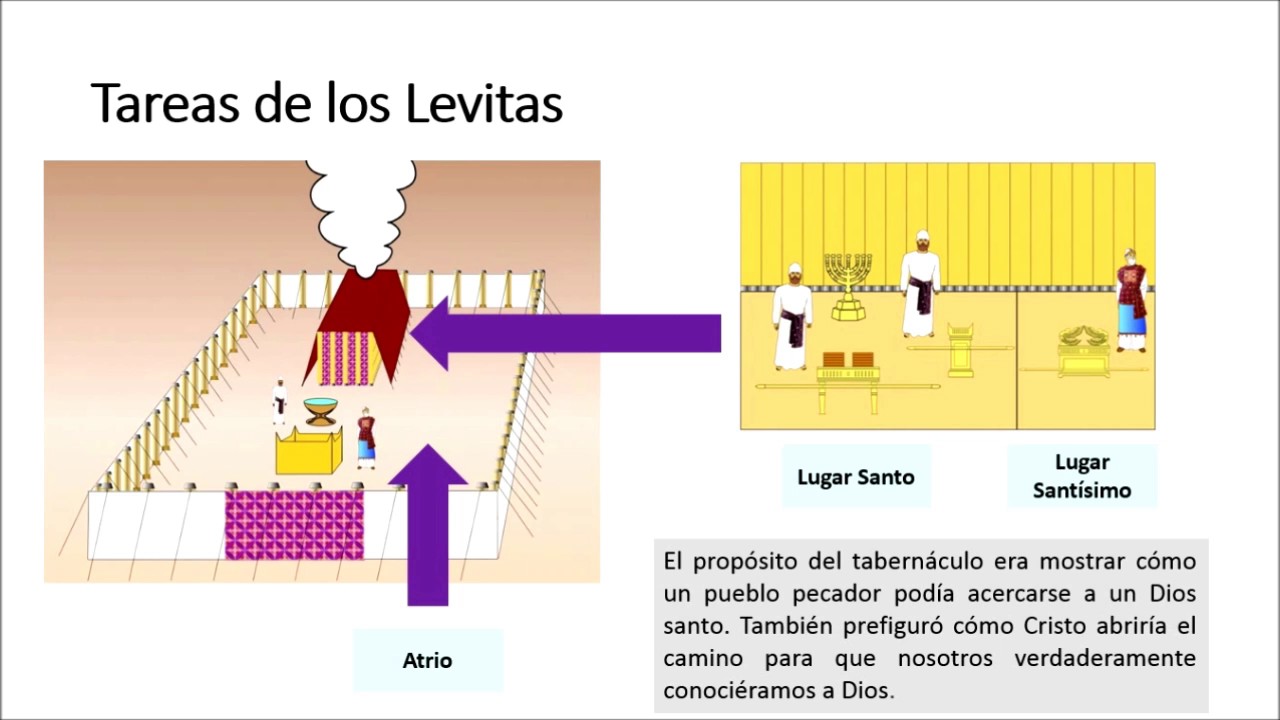 Cual Era El Trabajo De Los Levitas