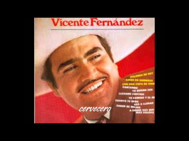 Vicente Fernández - Palabra de Rey