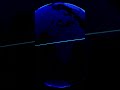 Amazing Blue Digital Technology