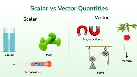 Scalars and Vectors Quantities and With Real Examples