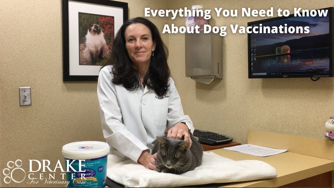 what happens if you over vaccinate a dog