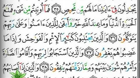 مصحف التجويد صفحة 487 إبراهيم الأخضر 🕋🕋