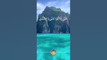 وورث سليمان داوود #قران_كريم #سورة_النمل #ريان_المحيسني #المحيسني