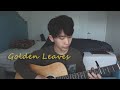 Golden leaves  passenger cover by william wu