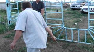 DSCF5710.AVI