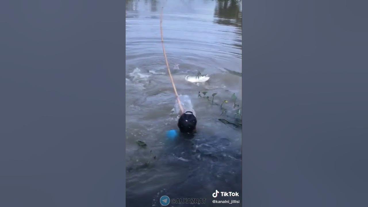 Рыба утащила рыбака