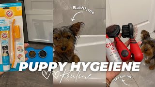 🐾 Puppy Vlog | Dog Hygiene Routine | bath time, grooming, brushing teeth + more! by Princess Melissa 1,079 views 7 months ago 30 minutes