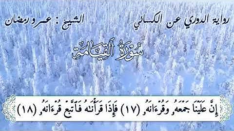 سورة القيامة برواية الدوري عن الكسائي بصوت / عمرو رمضان.