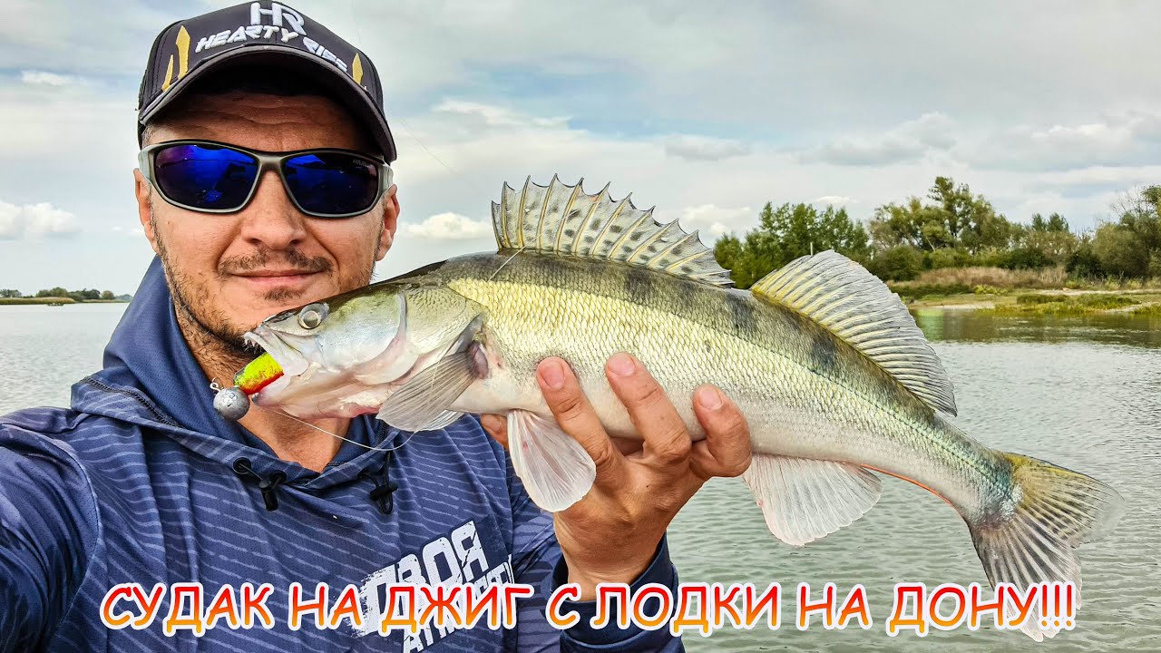СУДАК на джиг с лодки на Дону. - YouTube