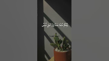 ﴿ وَ أَنِ ٱسۡتَغۡفِرُوا۟ رَبَّكُمۡ ﴾ | القارئ : محمد أيوب
