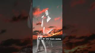 Ben Bir Selvi Boylu Yardan Ayrıldım Alt Yazılı