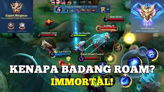 Badang Roam di Tier Immortal | Macro Gameplay & Zoning Damage Dealer