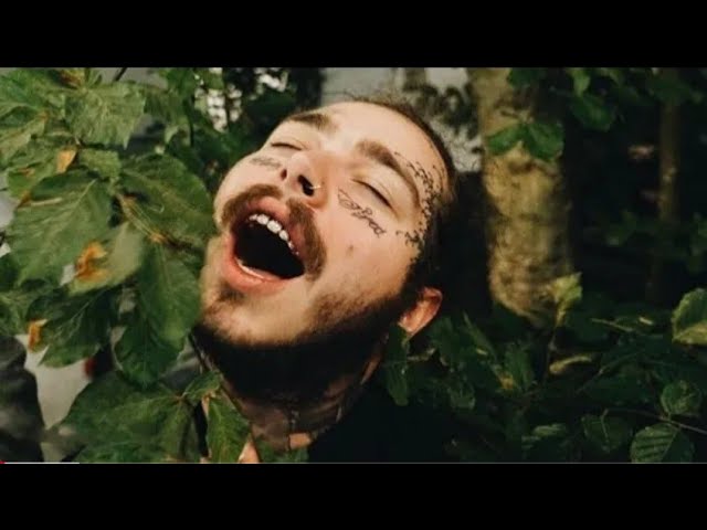 Post Malone, Ed Sheeran - Wasted Times (Official Video) class=