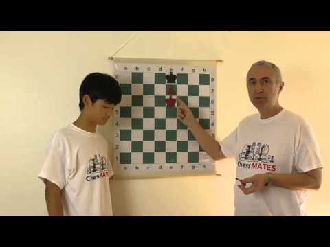 How to Checkmate with 2 Pawns - Chess for Beginners