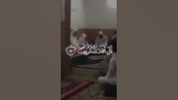 مقتطفات من سورة المؤمنون القارئ : يوسف كالو 🎧🤍    #ساهم_معنا_في_النشر #القرآن_حياة #اكسبلور #راحة