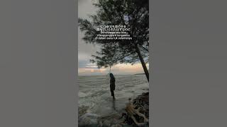 suki ni nattekurete arigatou //DISH (lirik terjemahan)