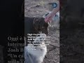 Oggi, 26 agosto, si celebra in molti Paesi la Giornata internazionale del cane, dedicata al migliore