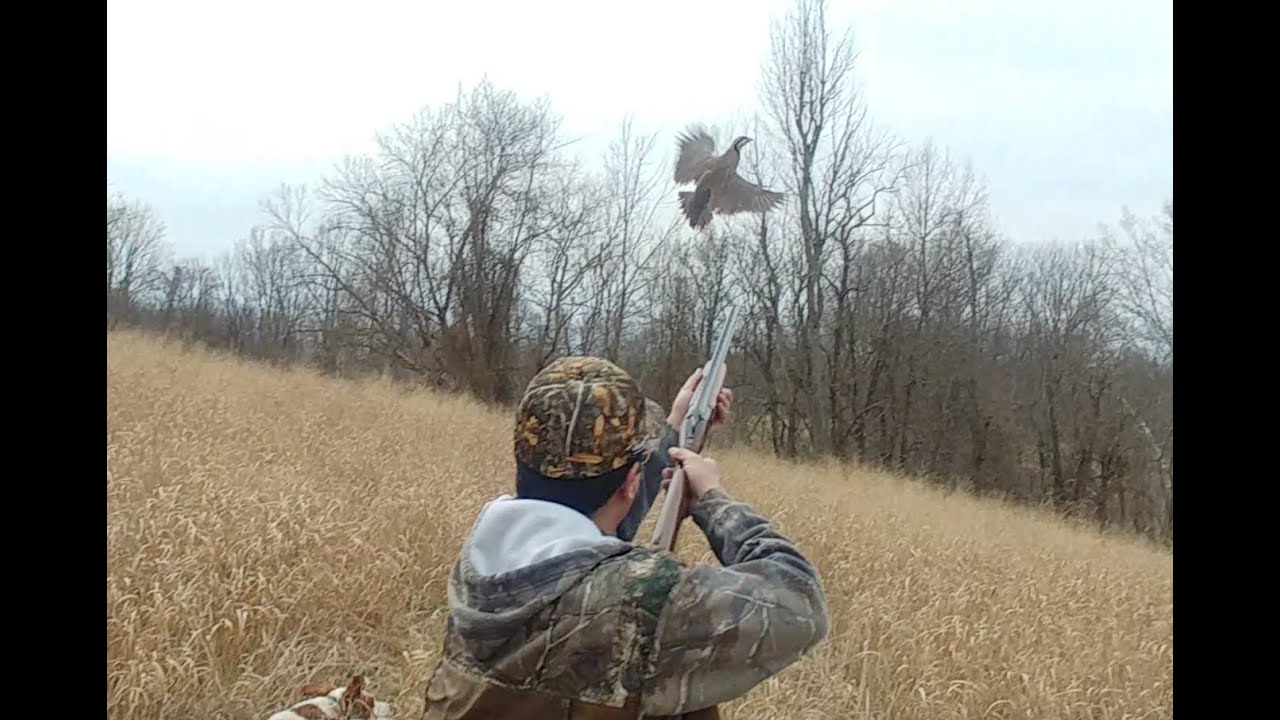 Reunion chukar hunt with Montana Ron, Larry and my Tristar setter.