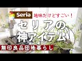 【百均】セリアのおしゃれチャッカマン／イケア購入おすすめロウソク／可愛いハンギングバスケット／アメリカヅタ／きのこクリームパスタ【無印良品団地】　#205