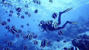 What makes the Suunto EON Core an amazing dive computer?