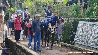 Download Lagu 🔴live streaming kuda renggong 2 rombongan di sindang laya MP3