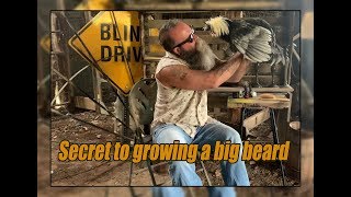 How to grow big beard | secret men's ...