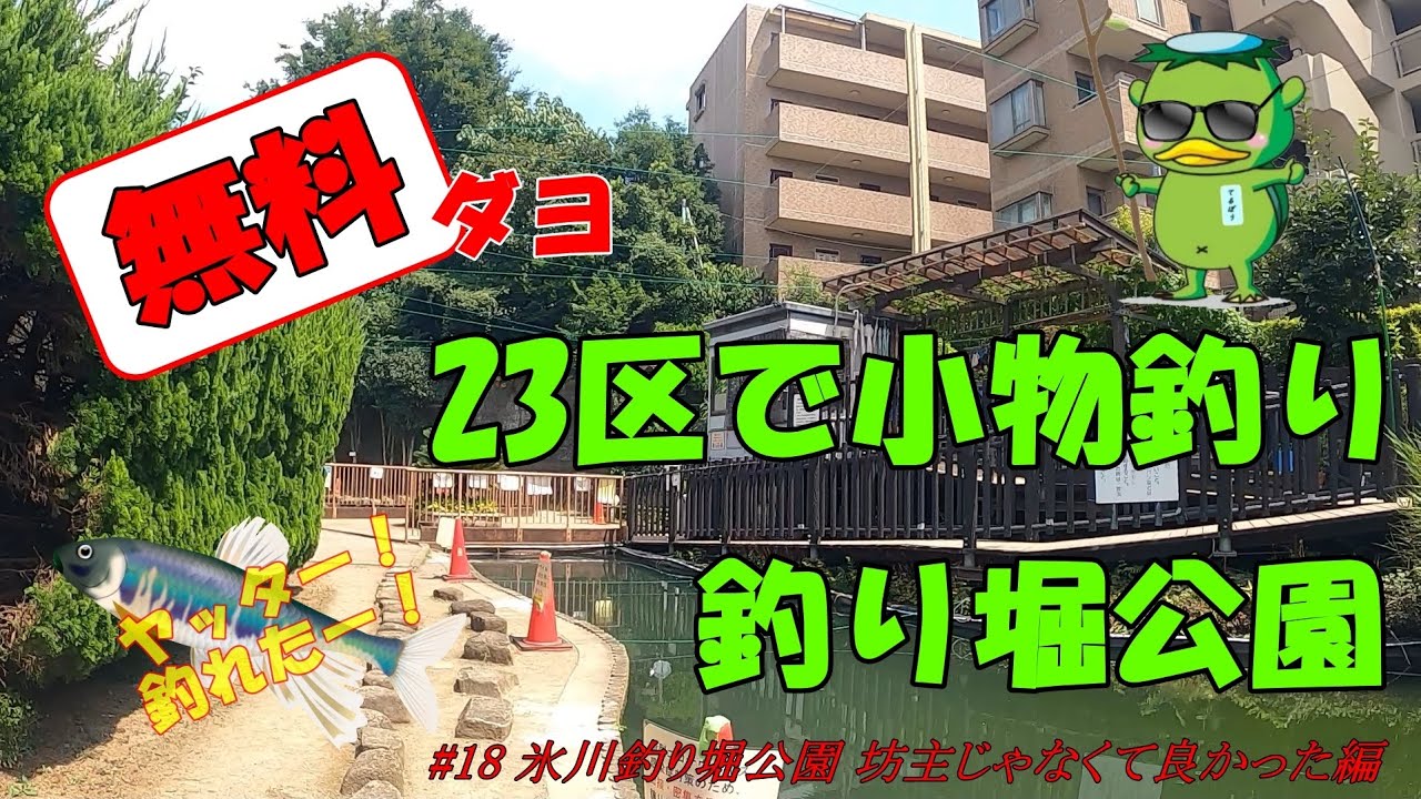 18 氷川釣り堀公園で小物釣り 坊主じゃなくて良かったよ タナゴ釣り 編 Youtube 18 氷川釣り堀公園で小物釣り 坊主じゃなくて良かったよ タナゴ釣り 編 Youtube