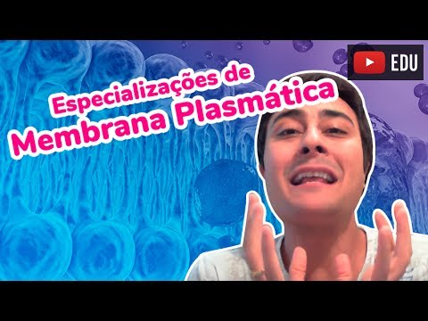 Especializações de Membrana Plasmática - Prof. Paulo Jubilut