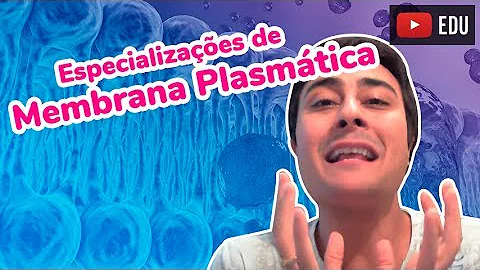 Em quais órgãos podemos encontrar os cílios e as microvilosidades?