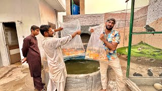 Fountain Main Bht Sari Fishes Ko Dal Dia😍